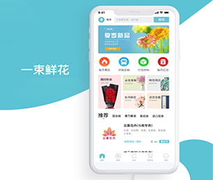 白城IOS APP定制开发基础电商系统以诚信为本，以质量为上游【仅限今日！惊喜限时优惠！】